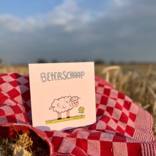 Beterschaap